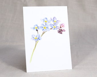 Carte postale myosotis / carte fleur / carte aquarelle