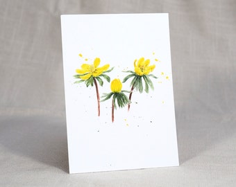 Carte postale Winterling / Carte postale aquarelle / Carte printemps