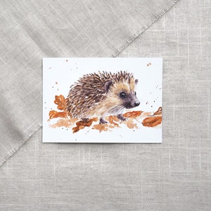 Carte postale hérisson / carte postale aquarelle / carte animal / carte automne