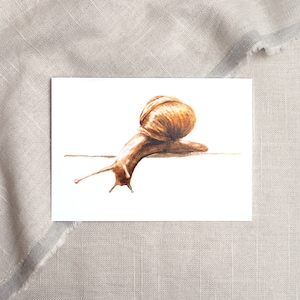 Postkarte Schnecke / Aquarellpostkarte / Postkarte Tiere