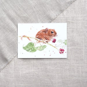 Carte postale loir aux baies / carte postale animaux / carte postale souris / carte postale aquarelle