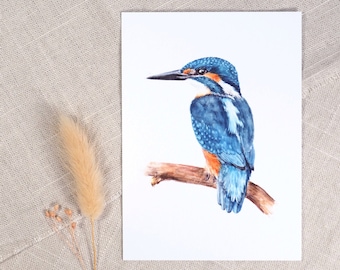 Postkarte Eisvogel / Vogelkarte / Aquarellpostkarte