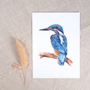 Carte postale Martin-pêcheur / carte oiseau / carte postale aquarelle