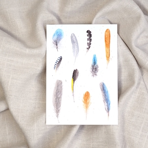 Carte postale plumes / carte postale aquarelle