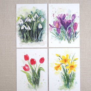 Postkartenset Frühlingsblumen
