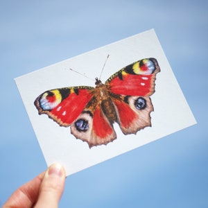 Carte postale oeil de paon / carte postale papillon / carte postale animalière / carte postale aquarelle