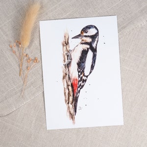 Postkarte Buntspecht / Vogelkarte / Aquarellpostkarte