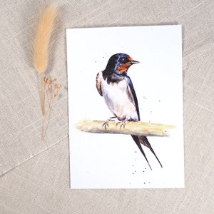 Carte postale hirondelle / carte oiseau / carte postale aquarelle