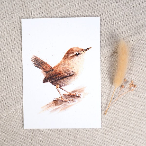 Postkarte Zaunkönig / Vogelpostkarte / Aquarellpostkarte