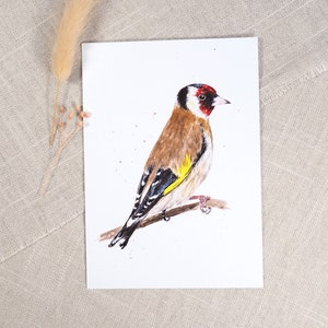 Carte postale chardonneret / carte oiseau / carte postale aquarelle