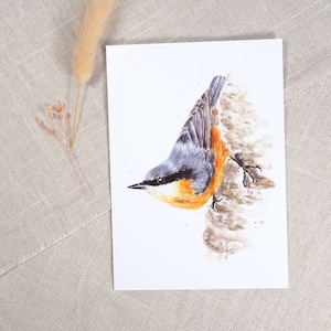 Postkarte Kleiber / Vogelkarte / Aquarellpostkarte