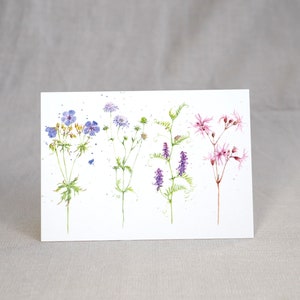 Carte postale fleurs des prés / carte postale fleurs / carte postale aquarelle
