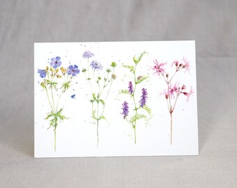 Carte postale fleurs des prés / carte postale fleurs / carte postale aquarelle