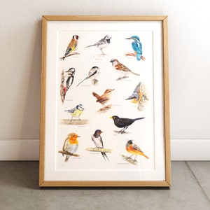 Impresión artística de aves / póster de aves / impresión artística de acuarela