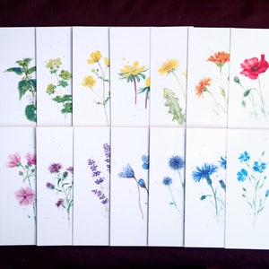 Large postcard set 16 flowers image 4