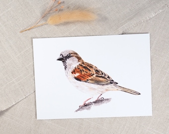 Postcard Sparrow / Postcard Bird Card / Watercolor Card