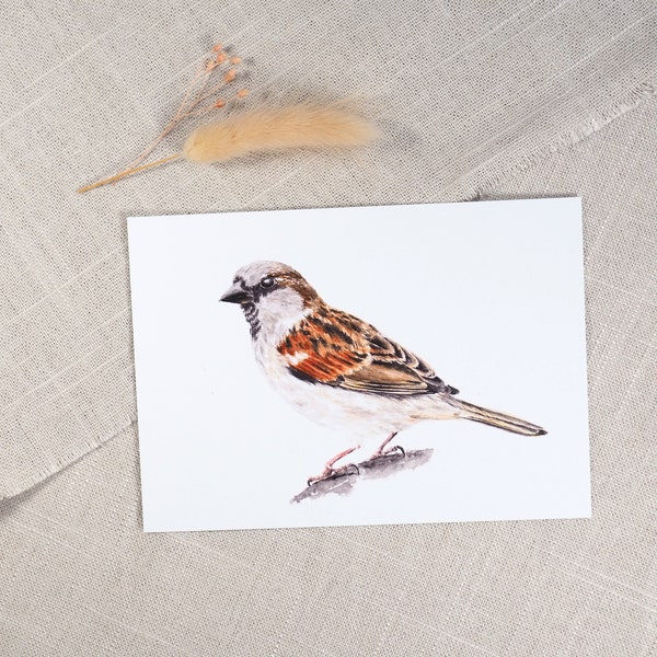 Postkarte Spatz / Postkarte Sperling / Vogelkarte / Aquarellkarte