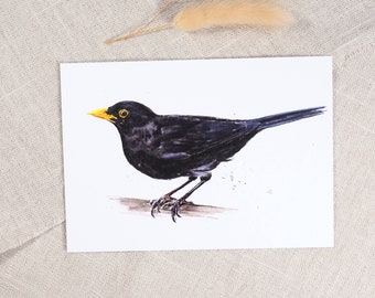 Blackbird postcard / Bird postcard / Watercolor postcard / Native birds / Art postcard