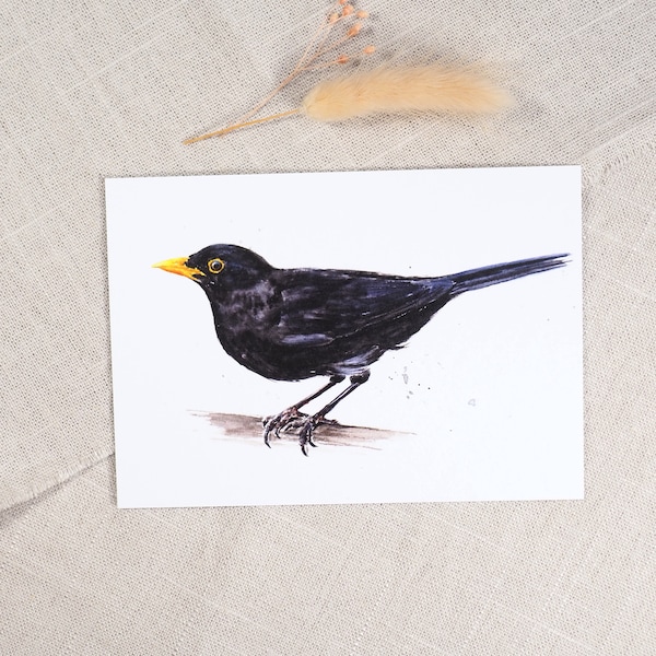 Postkarte Amsel / Vogelkarte / Aquarellpostkarte