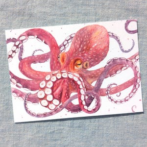 Può includere: Dipinto ad acquerello di un polpo rosso con molteplici tentacoli e ventose bianche. Il polpo è centrato su una carta rettangolare bianca, con uno sfondo strutturato blu chiaro.