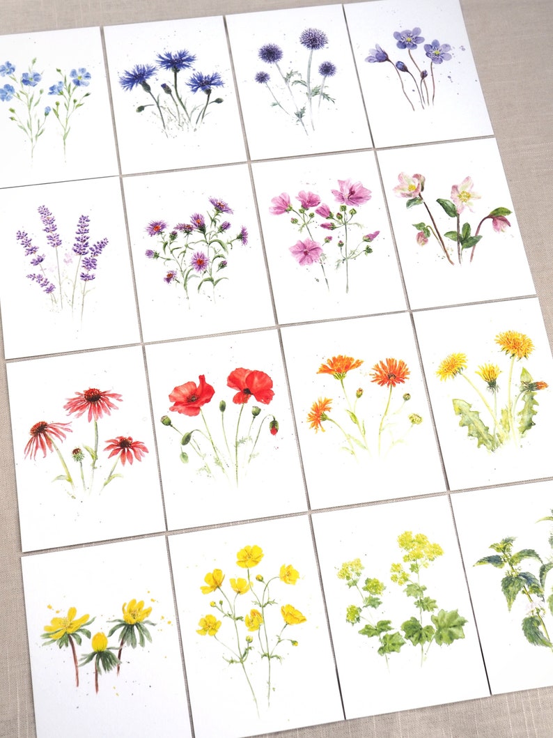 Large postcard set 16 flowers image 2