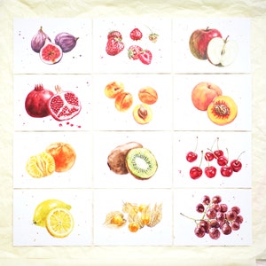 Postkartenset ‚Obst‘ / Aquarellpostkarten / Aquarellobst