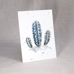 Postkarte ‚Kaktus‘