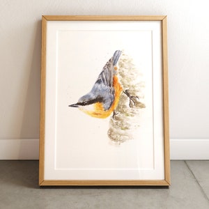 Nuthatch art print / Watercolor art print / Bird art print