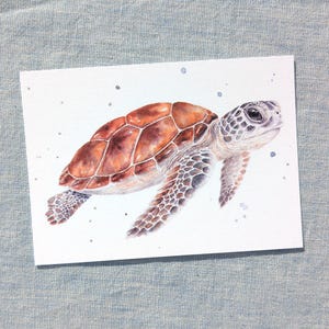 Könnte beinhalten: Aquarellmalerei einer Meeresschildkröte. Die Schildkröte hat einen braunen und hellbraunen Panzer mit einem detaillierten Muster. Ihr Kopf und ihre Flossen sind in einem helleren Braunton mit einem gesprenkelten Design gehalten. Der Hintergrund ist weiß mit kleinen blauen Aquarellspritzern.