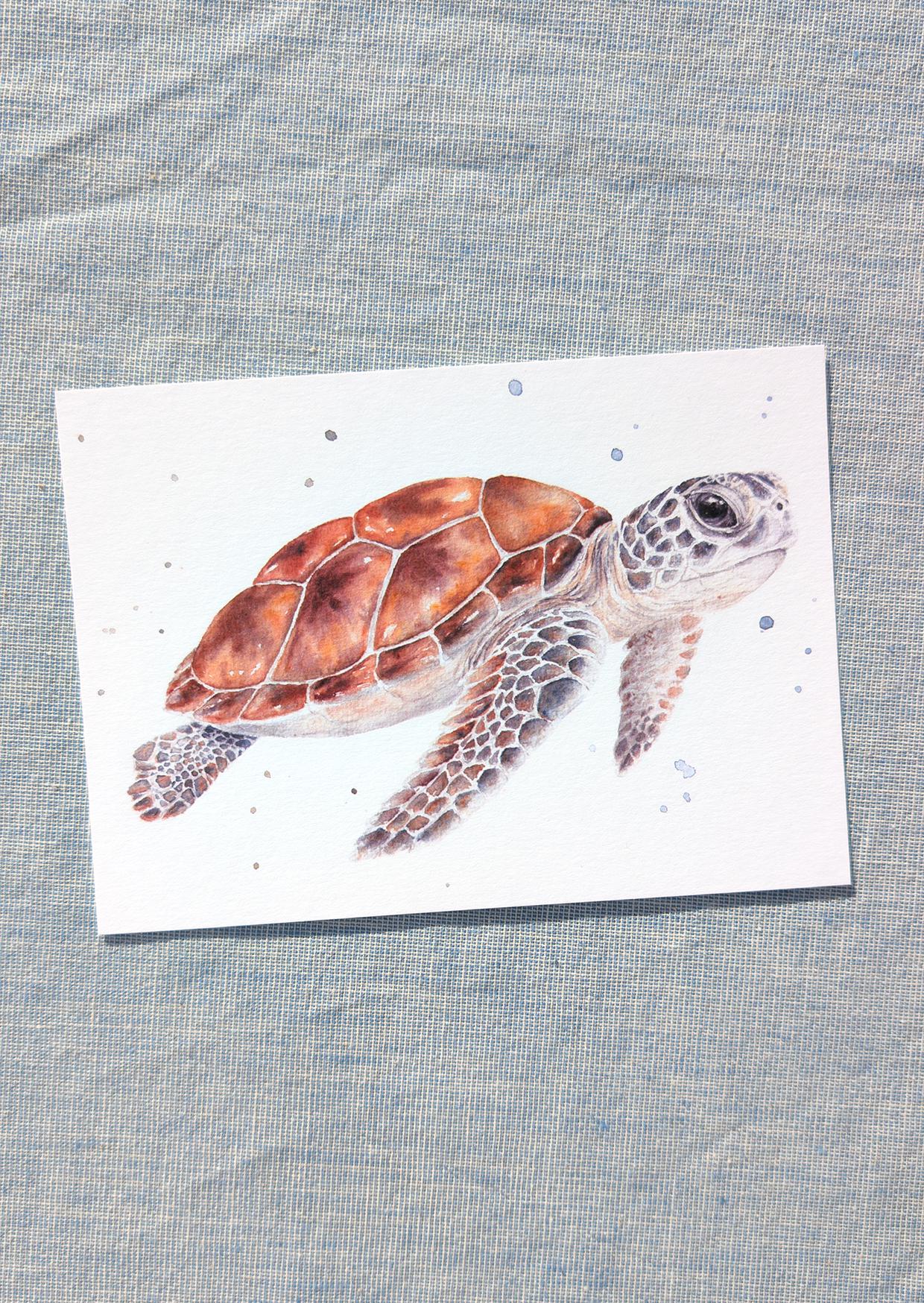 Lot De 6 Cartes Postales Animaux Mignons - Chiens, Chats, Tortues - Amitié - Vernis Brillant - Postcrossing