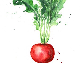 Art print 'Radish'