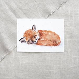 Carte postale renard endormi / carte postale aquarelle / carte animaux / carte hiver
