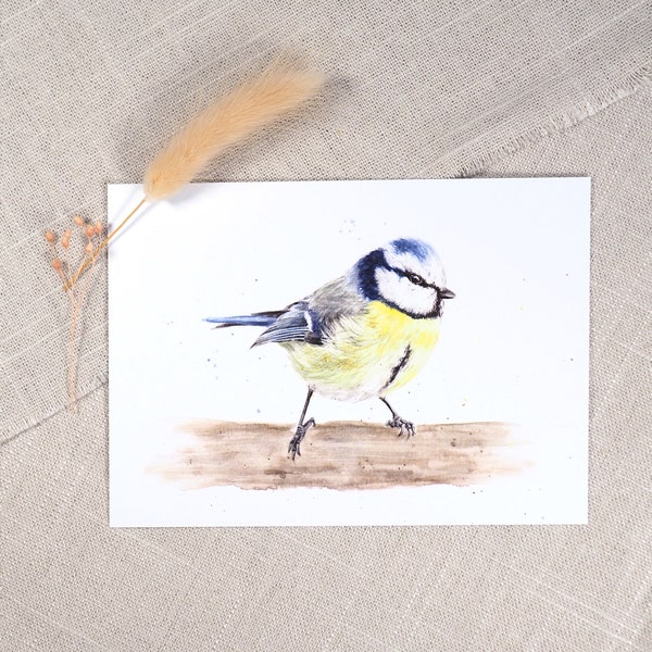Postkarte Blaumeise / Vogelkarte / Aquarellpostkarte