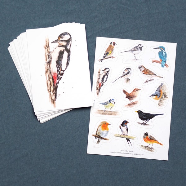 Großes Vogelset Postkarten & Sticker