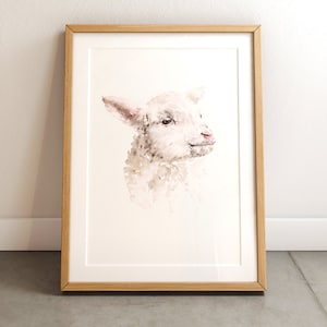 Kunstdruck Lämmchen / Aquarellkunstdruck