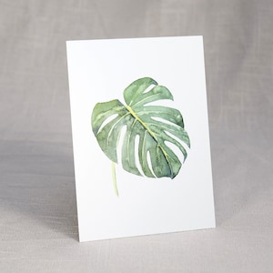 Postkarte Monstera / Aquarellpostkarte