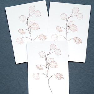 Postkarte ‚Silberblatt‘