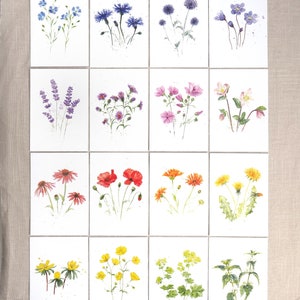 Large postcard set 16 flowers