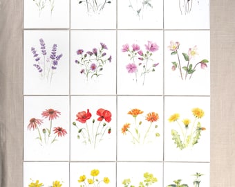 Large postcard set 16 flowers