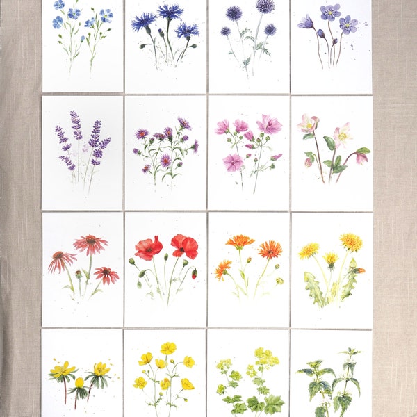 Grand set de cartes postales 16 fleurs