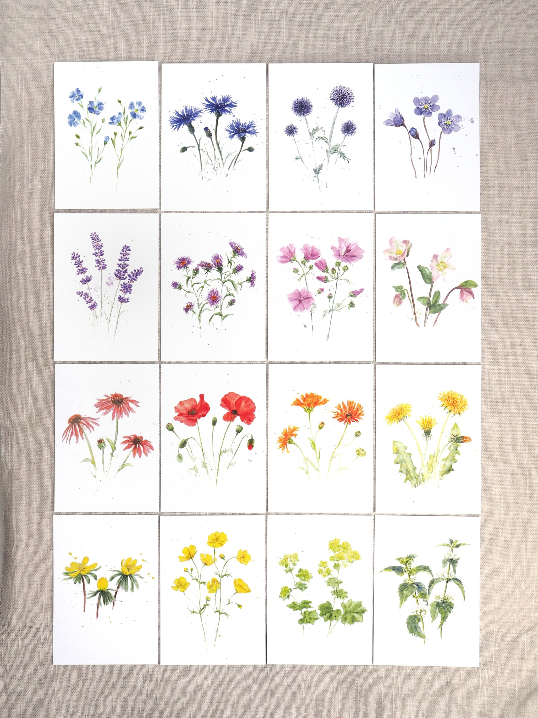 Large postcard set 16 flowers