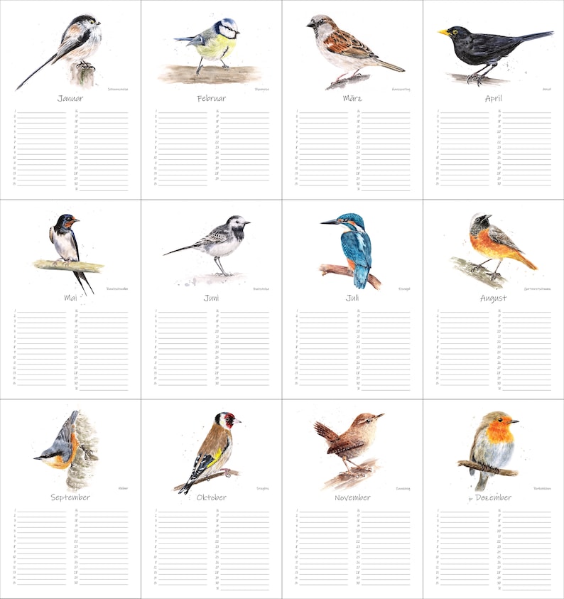 May include: A watercolour calendar featuring a different bird for each month of the year. The birds are depicted in a realistic style and are set against a white background. The calendar includes a grid for each month with space for writing in appointments and events.