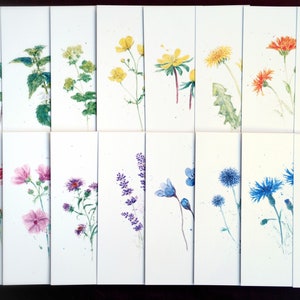 Large postcard set 16 flowers image 7