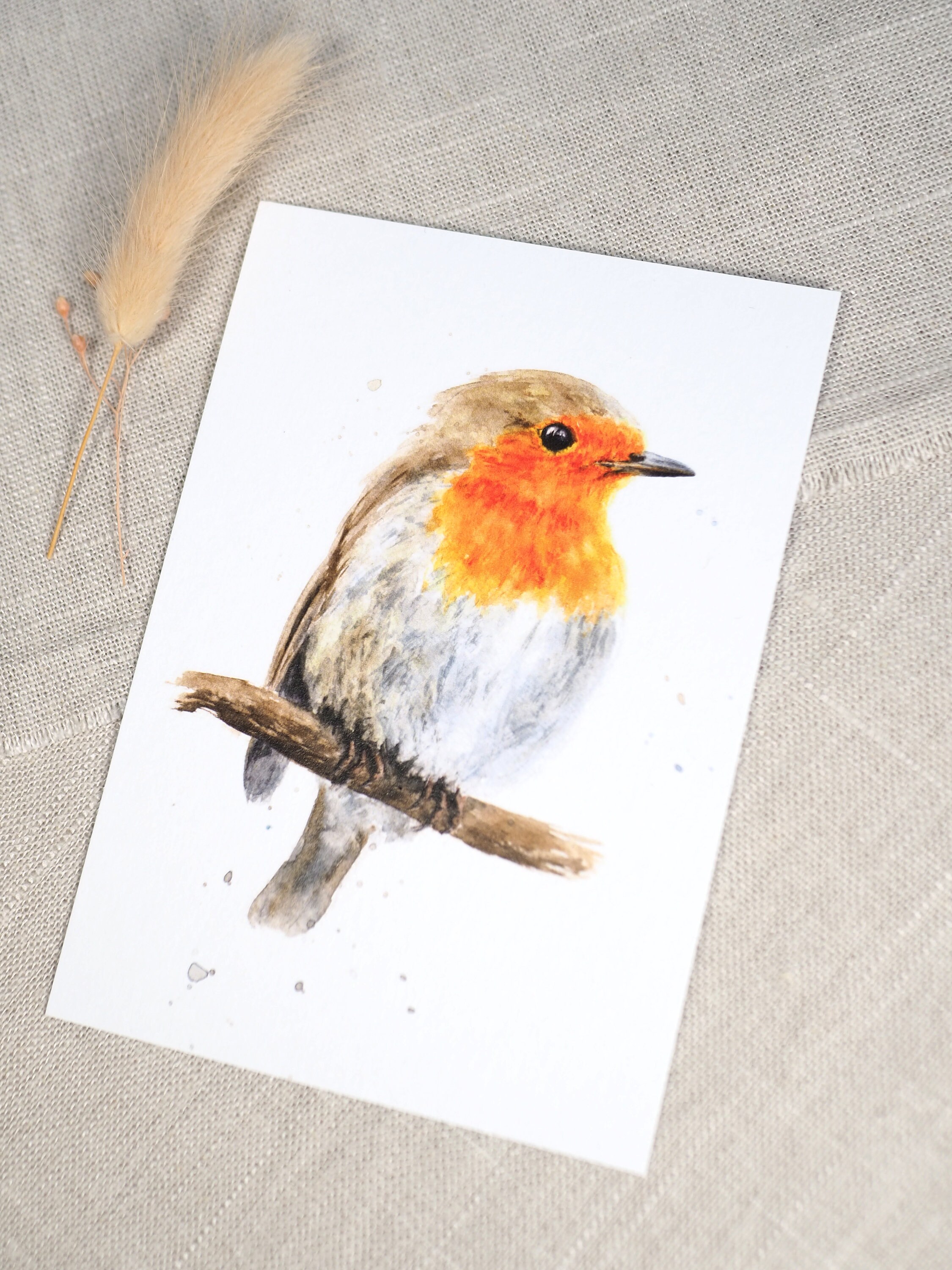 Robin Postcard / Bird Card / Watercolor Postcard - Etsy Canada