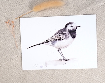Postcard of a wagtail / bird card / watercolor postcard / art card / native birds