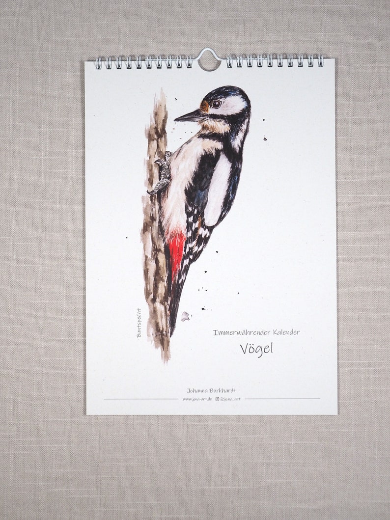 May include: A watercolour illustration of a woodpecker perched on a tree trunk. The bird has black and white feathers with a red patch on its head. The illustration is part of a calendar titled "Immerw&auml;hrender Kalender V&ouml;gel" by Johanna Burkhardt.