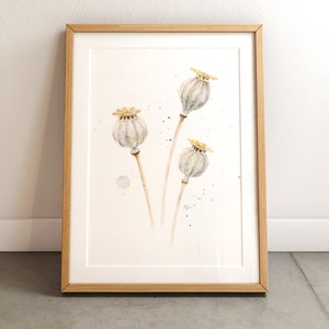 Klaproos capsules kunstdruk / aquarel kunstdruk