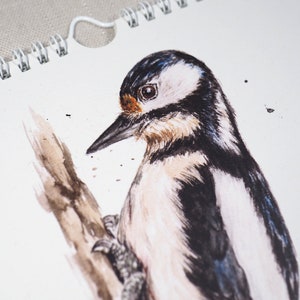 May include: A watercolour painting of a woodpecker perched on a branch. The bird is depicted in shades of brown, black, and white, with a blue head and a bright orange eye.