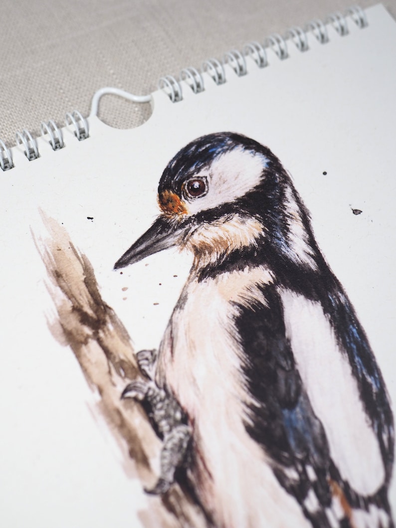May include: A watercolour painting of a woodpecker perched on a branch. The bird is depicted in shades of brown, black, and white, with a blue head and a bright orange eye.