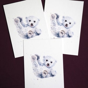 cartolina 'Cucciolo di orso polare'